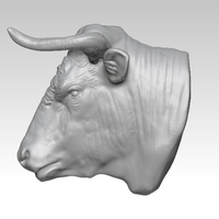 Bull head - Thumbnail 1