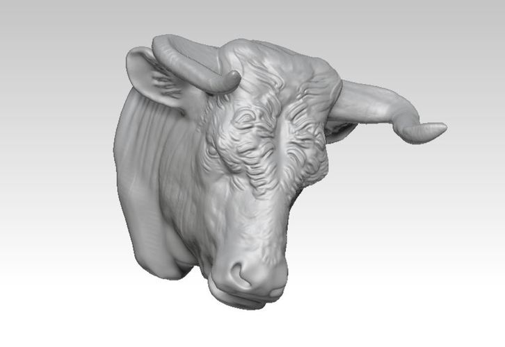 Bull head