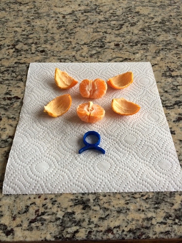 Orange Peeler 3D Print 23876