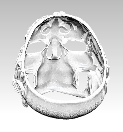 Man Skull Carving King Ring 3D Print 238769