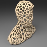 Small  The head of Stephen Colbert - Voronoi Style 3D Printing 23943
