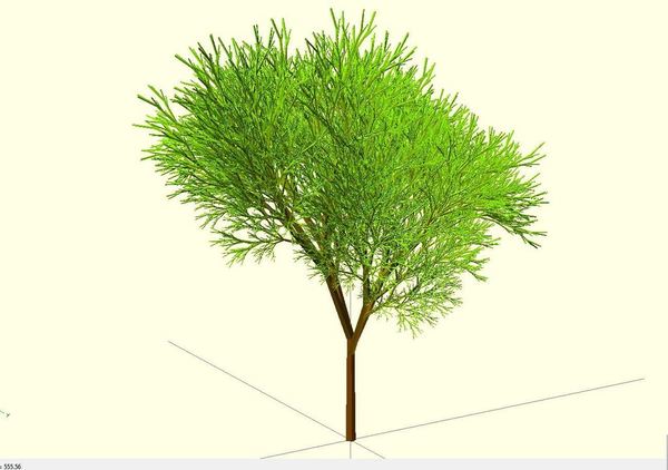 Completely Random Tree