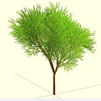 Small Completely Random Tree 3D Printing 23968