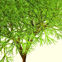 Completely Random Tree - Thumbnail 2