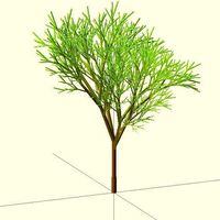 Completely Random Tree - Thumbnail 3
