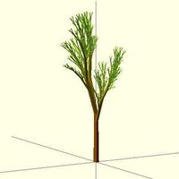 Completely Random Tree - Thumbnail 5