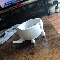 Ellie Succulent Plant - Thumbnail 1