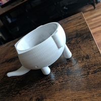 Ellie Succulent Plant - Thumbnail 2