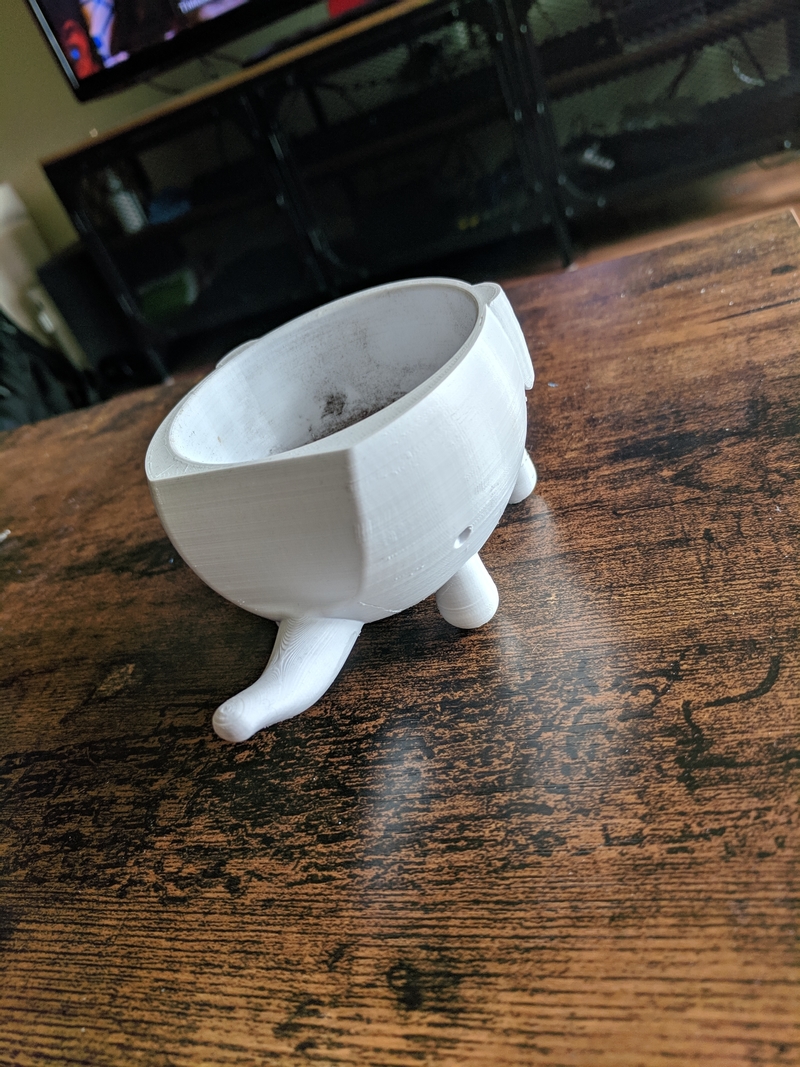 Ellie Succulent Plant