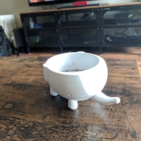 Ellie Succulent Plant - Thumbnail 4