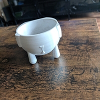 Ellie Succulent Plant - Thumbnail 5