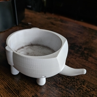 Ellie Succulent Plant - Thumbnail 6