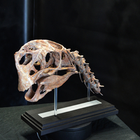 Life size Citipati (Oviraptor) skull   Part 1/2 - Thumbnail 4