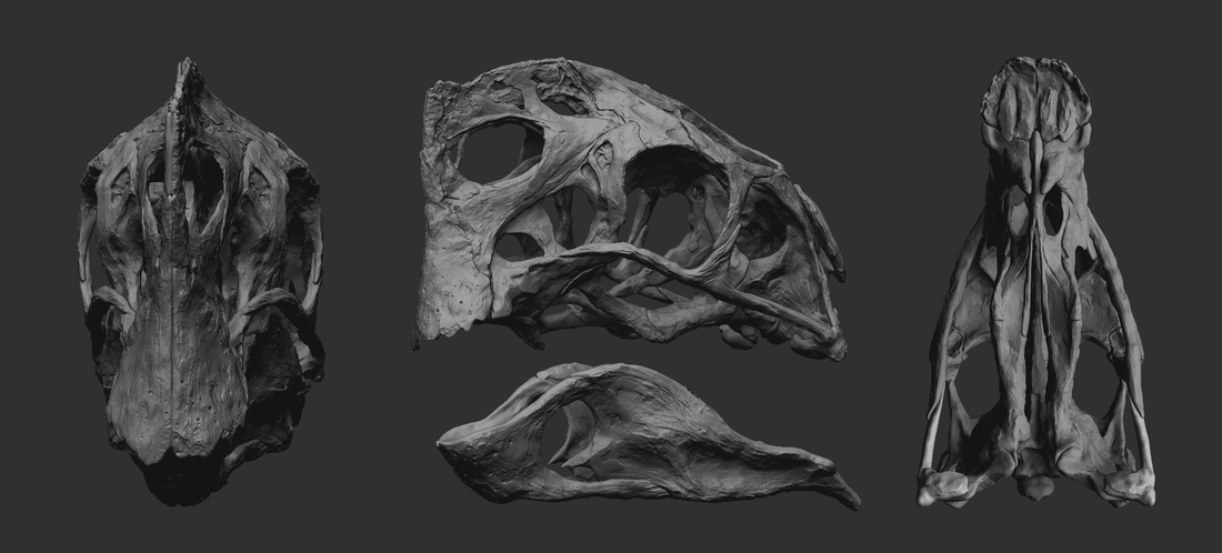 Life size Citipati (Oviraptor) skull   Part 1/2 3D Print 240334