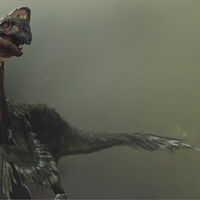 Life size Citipati (Oviraptor) skull Part 2/2 - Thumbnail 6