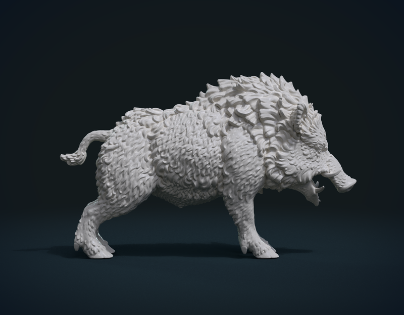 Wild Boar in static pose