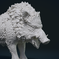 Wild Boar in static pose - Thumbnail 4