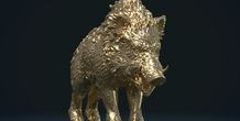 Image 240507