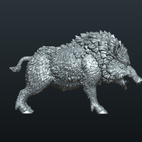 Wild Boar in static pose - Thumbnail 11