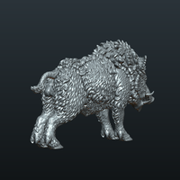 Wild Boar in static pose - Thumbnail 12