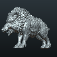 Wild Boar in static pose - Thumbnail 13