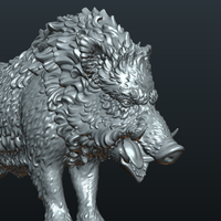 Wild Boar in static pose - Thumbnail 14