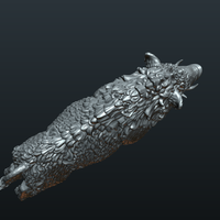 Wild Boar in static pose - Thumbnail 15