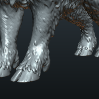 Wild Boar in static pose - Thumbnail 16