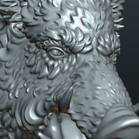 Wild Boar in static pose - Thumbnail 20