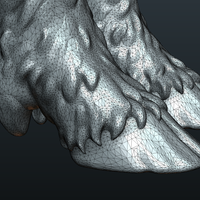 Wild Boar in static pose - Thumbnail 23