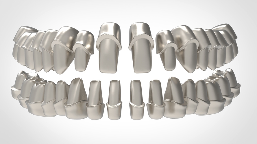 Dental Anatomy Library with Thimble Crowns - Azure  3D Print 241169
