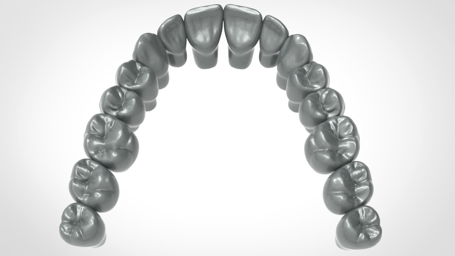 Dental Anatomy Library with Thimble Crowns - Azure  3D Print 241176