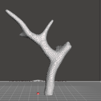 Small Staghorn Coral 3D Printing 241253