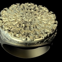 Ornament Signet Ring - Thumbnail 1