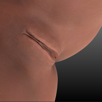 sasha grey body - Thumbnail 2