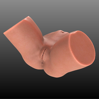 sasha grey body - Thumbnail 7