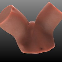 sasha grey body - Thumbnail 8