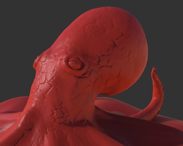 Red Octopus Figurine 3D Print 241471