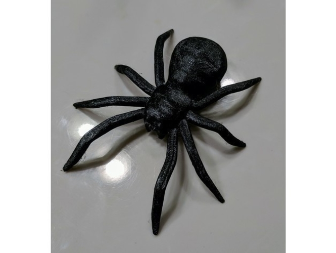Spider 3D Print 241550