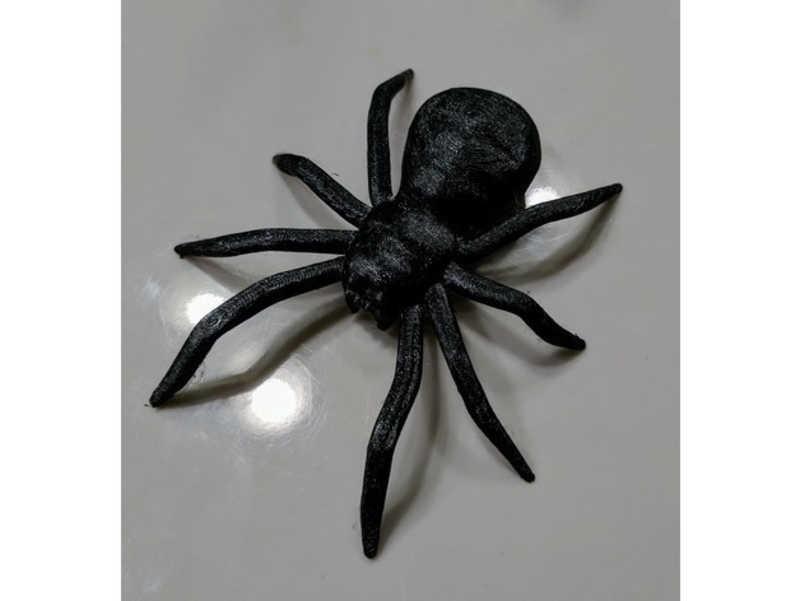 Spider