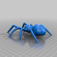Spider - Thumbnail 2