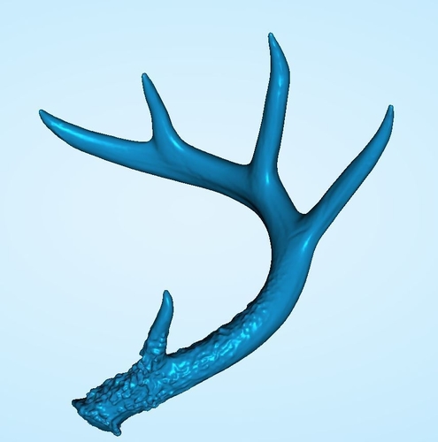 Deer Antler Scan  3D Print 241730