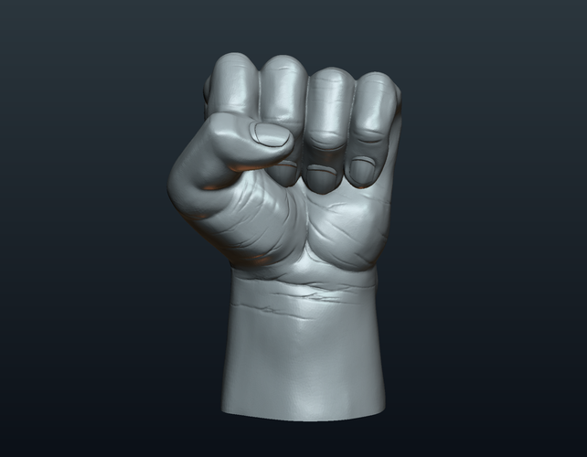 Fist Hand  3D Print 242214