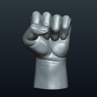Fist Hand  - Thumbnail 1