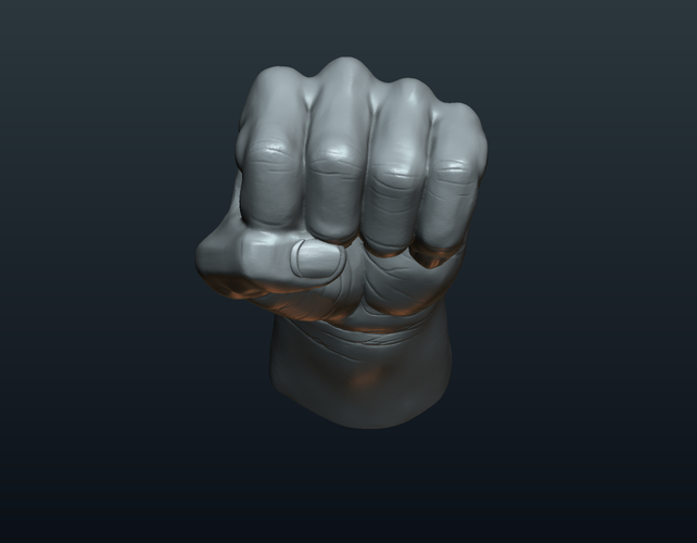 Fist Hand  3D Print 242215