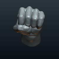 Fist Hand  - Thumbnail 2