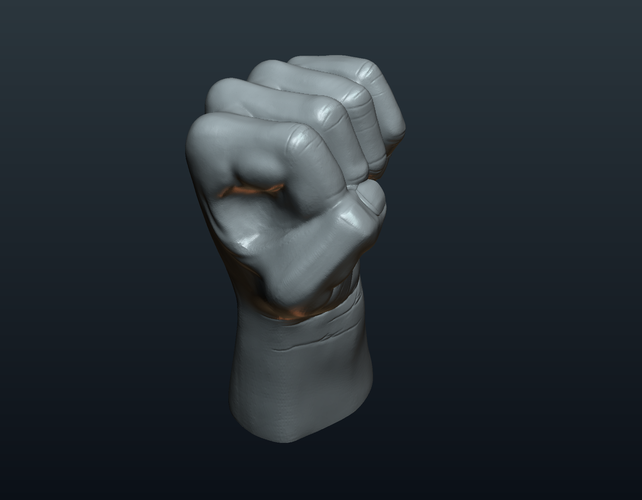 Fist Hand  3D Print 242216