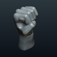 Fist Hand  - Thumbnail 3