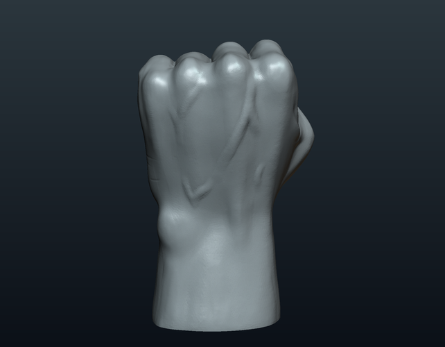 Fist Hand  3D Print 242217