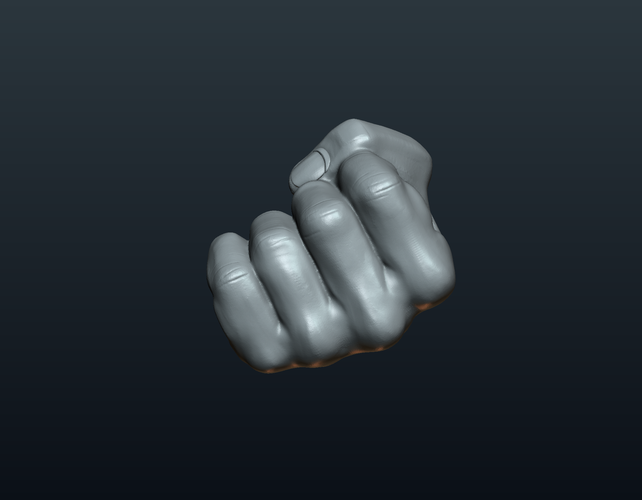 Fist Hand  3D Print 242218